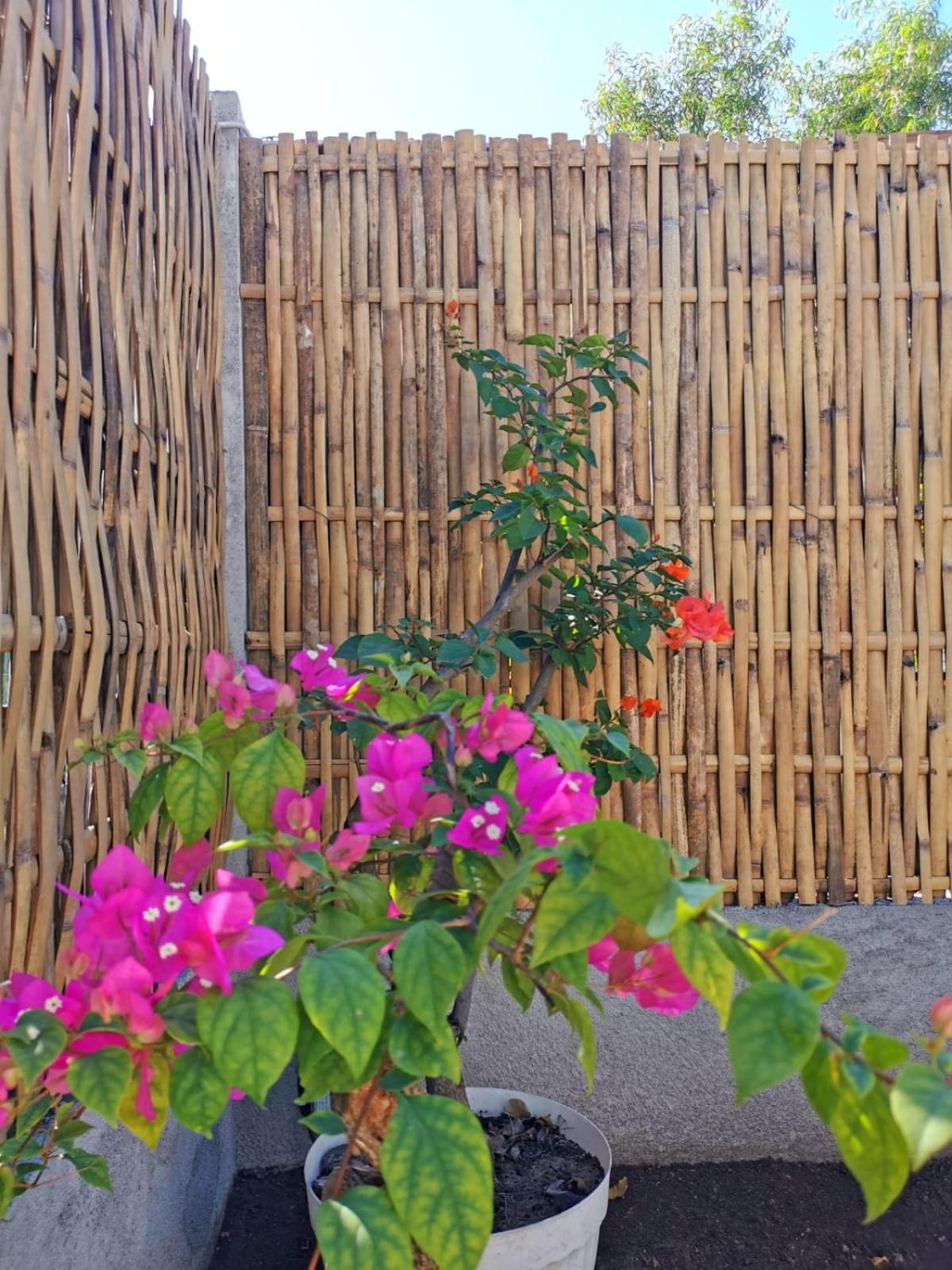 Exotic House Villa Gili Meno Luaran gambar