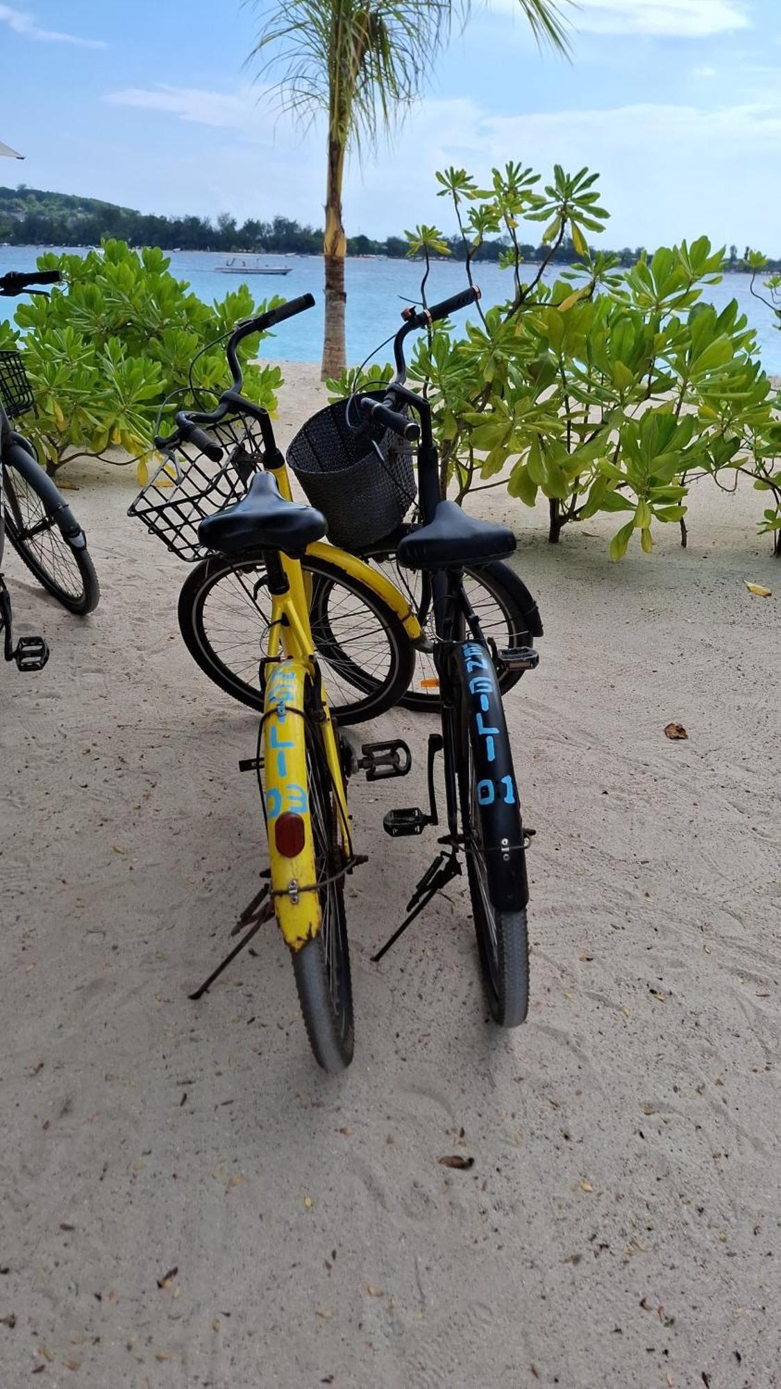 Exotic House Villa Gili Meno Bilik gambar