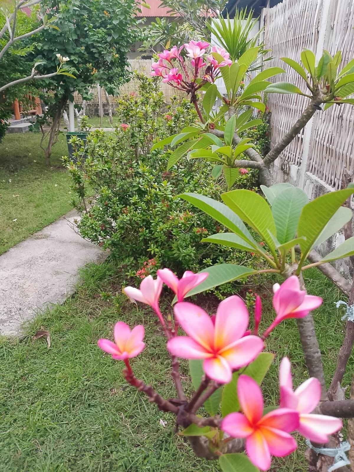 Exotic House Villa Gili Meno Bilik gambar